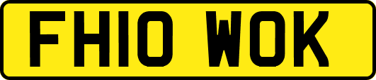 FH10WOK