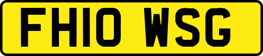 FH10WSG