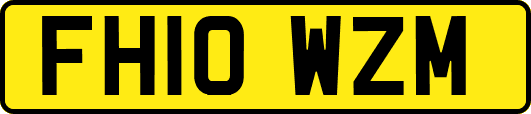 FH10WZM