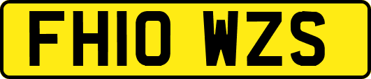 FH10WZS