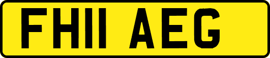 FH11AEG