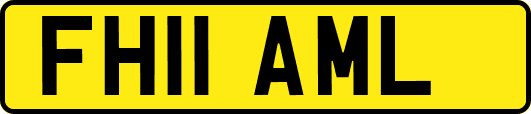 FH11AML