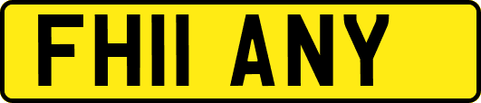 FH11ANY