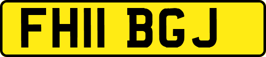 FH11BGJ