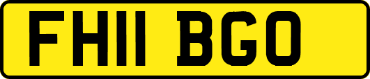 FH11BGO