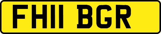 FH11BGR