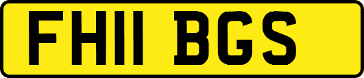 FH11BGS