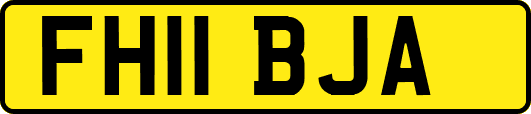 FH11BJA