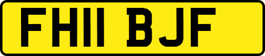 FH11BJF