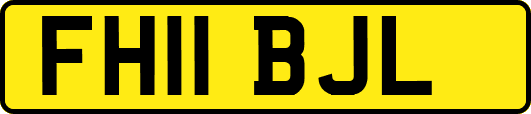FH11BJL