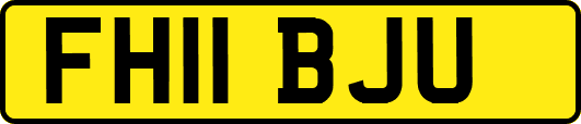 FH11BJU