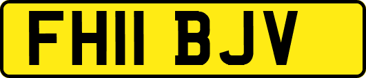 FH11BJV