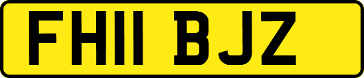 FH11BJZ