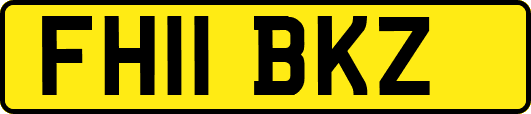 FH11BKZ