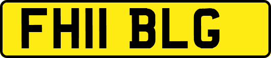 FH11BLG