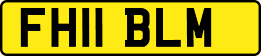 FH11BLM