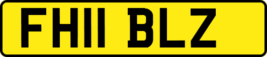 FH11BLZ