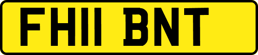 FH11BNT