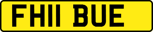FH11BUE