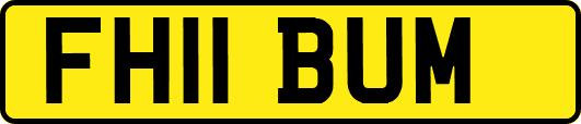 FH11BUM