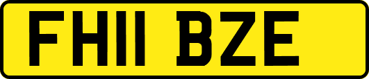 FH11BZE