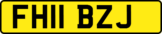 FH11BZJ