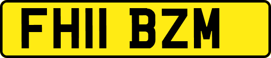 FH11BZM