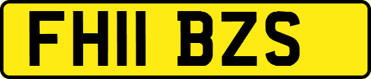 FH11BZS