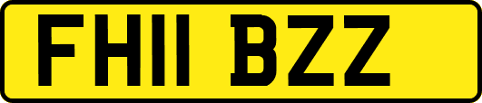 FH11BZZ