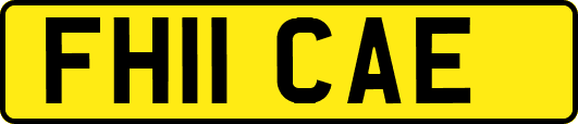 FH11CAE
