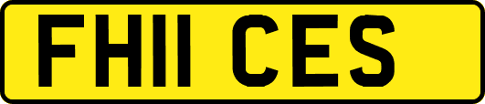 FH11CES