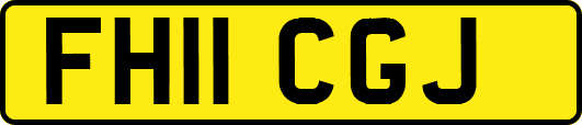 FH11CGJ
