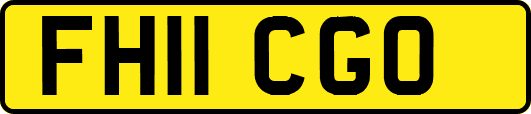FH11CGO