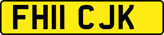 FH11CJK