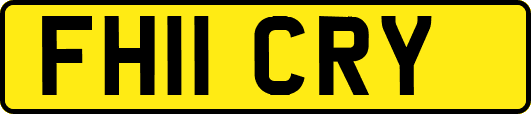 FH11CRY