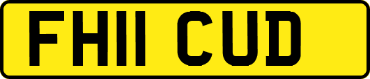 FH11CUD
