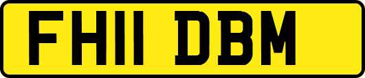 FH11DBM