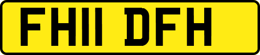 FH11DFH