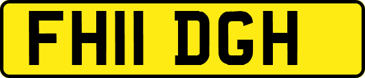 FH11DGH
