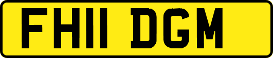 FH11DGM