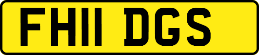 FH11DGS