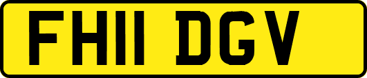FH11DGV