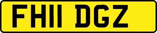 FH11DGZ