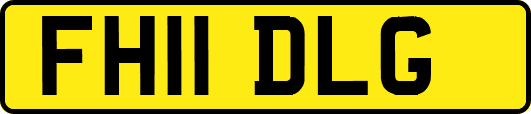 FH11DLG