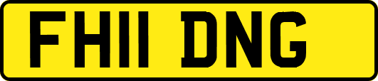 FH11DNG