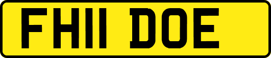 FH11DOE