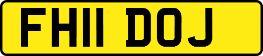 FH11DOJ