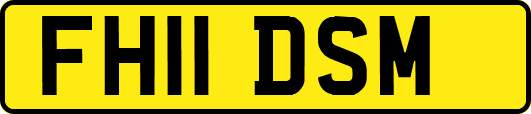 FH11DSM