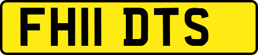 FH11DTS