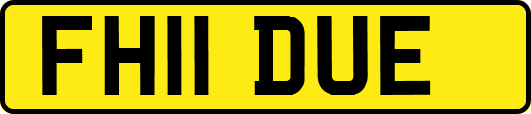 FH11DUE